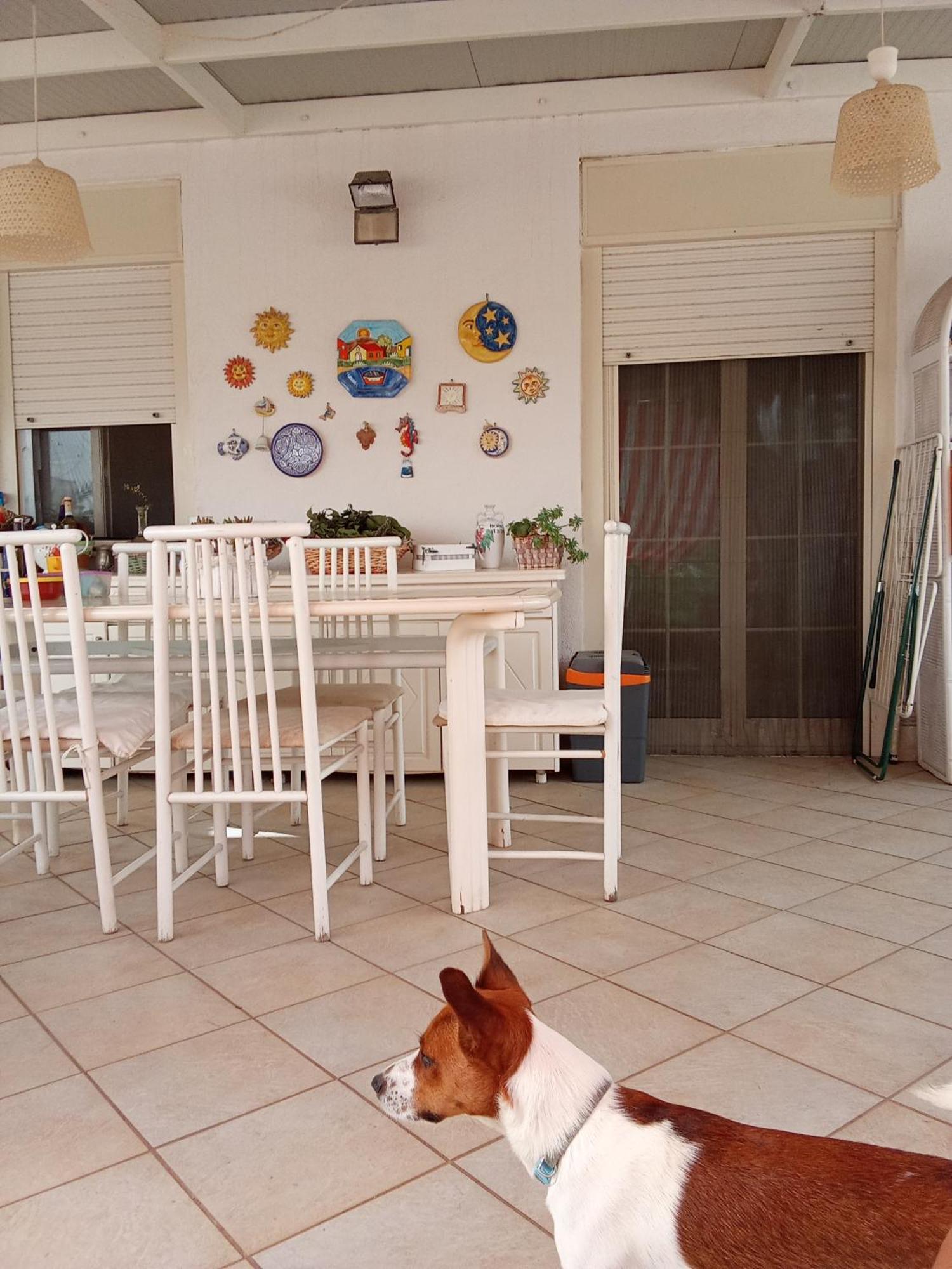 Terrazza Mare Mondello Apartamento Palermo Exterior foto